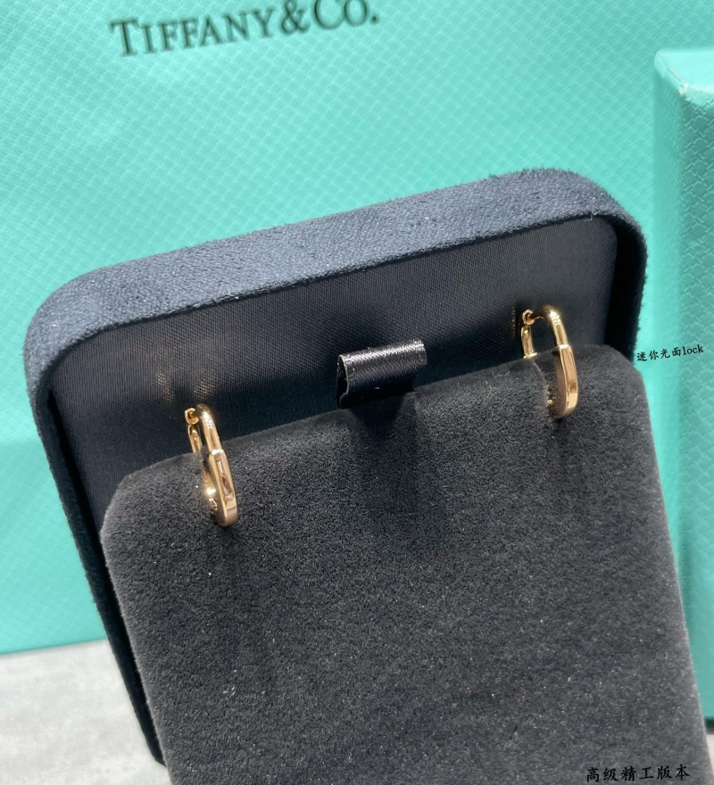 T*f*ny earrings
